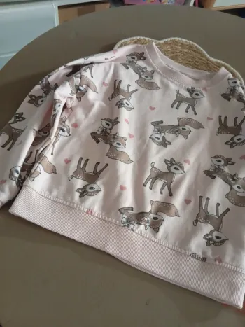 Pull faon 6/7 ans
