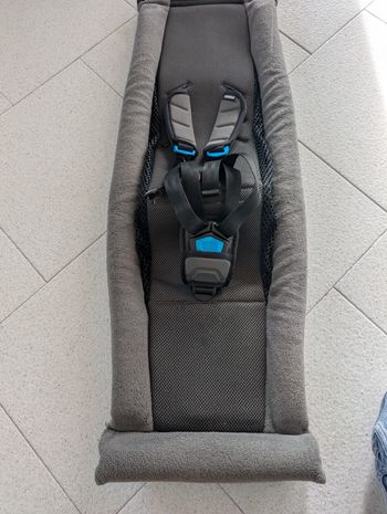 Hamac  Thule Infant Sling 