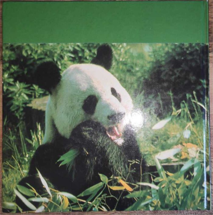 Les animaux sauvés par l’homme 1981 - photo numéro 2