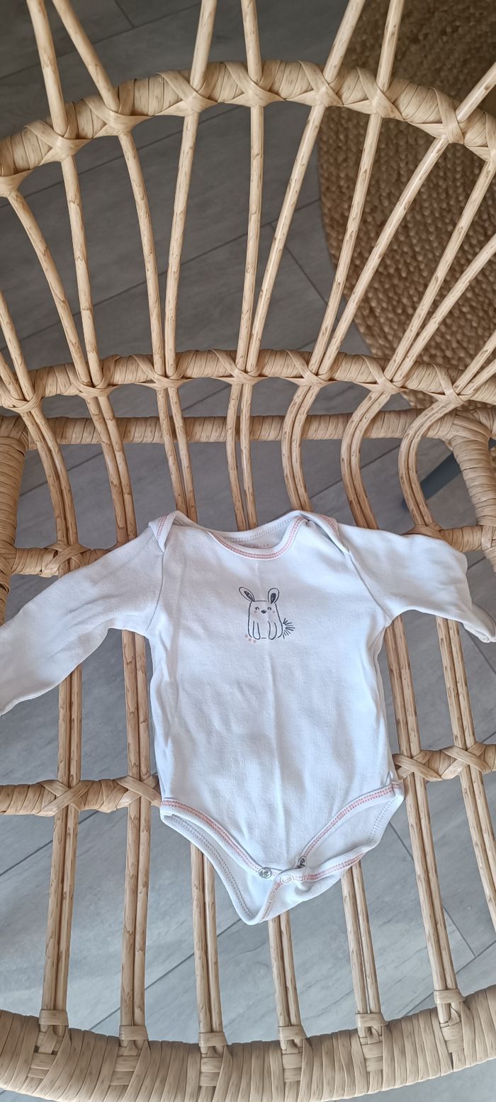 Lot de 3 bodys - photo numéro 3