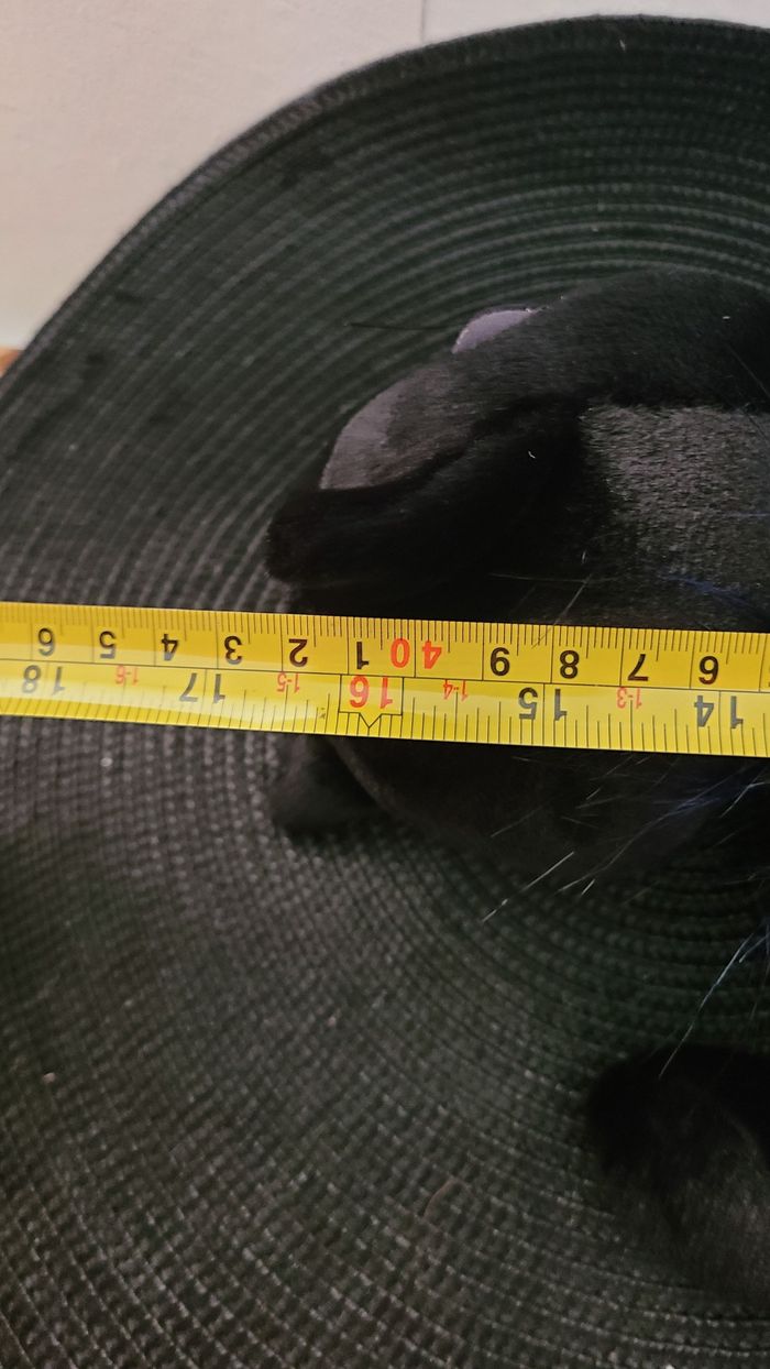 Jellycat Glamorama Chat noir Neuf - photo numéro 5