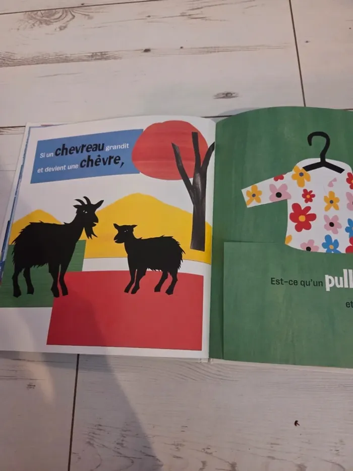 Livre pour enfants maternelle "Dis moi qui devient quoi - photo numéro 4