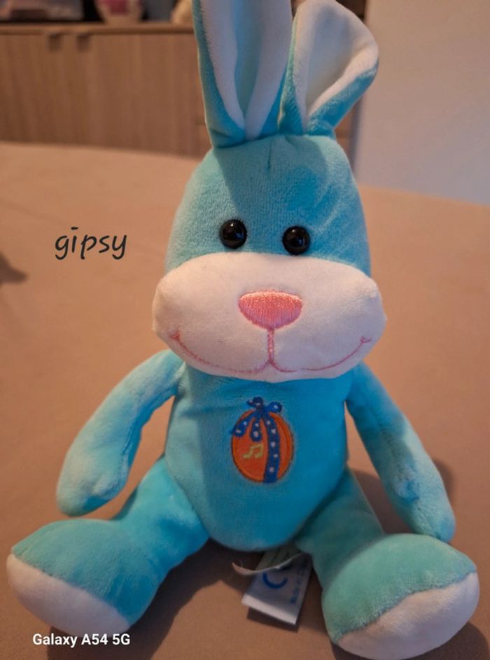 🩵lapin gipsy 🩵