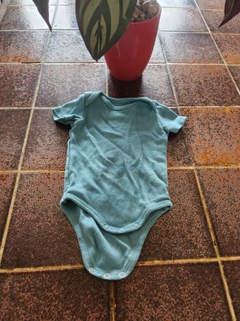 Body manches courtes