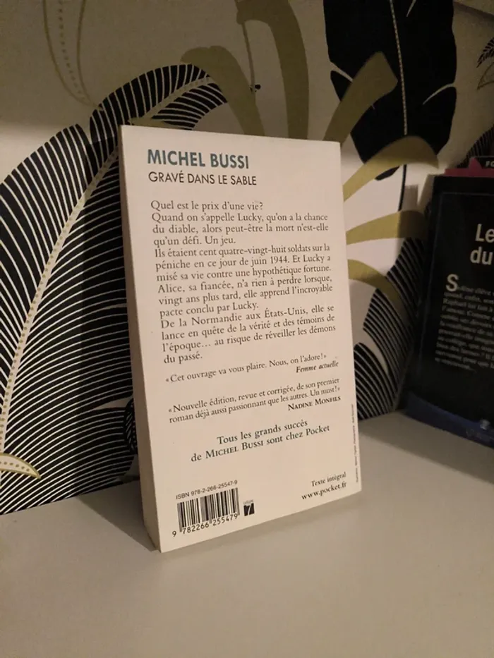 "Gravé dans le sable" Un roman captivant qui laisse des traces 📚 - photo numéro 2