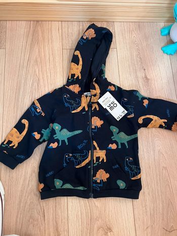 Veste dinosaures