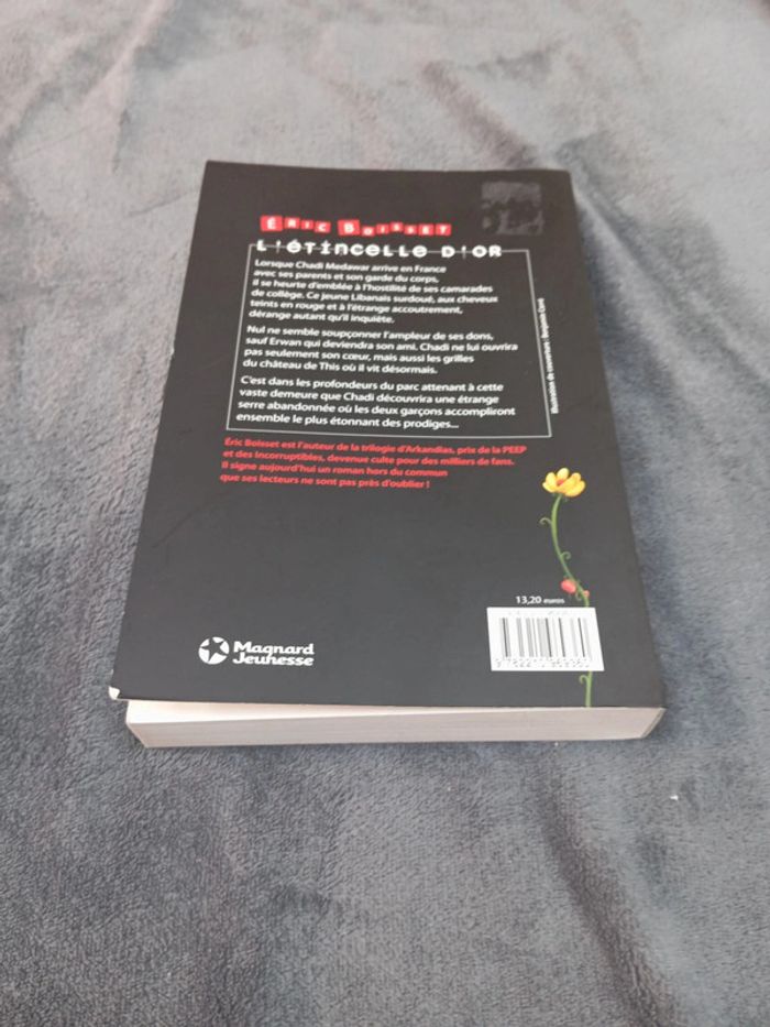 L'étincelle d'or - photo numéro 2