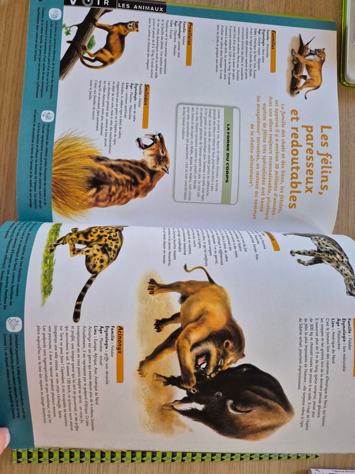 Espèces disparues - des dinosaures aux premiers mammifères - photo numéro 4