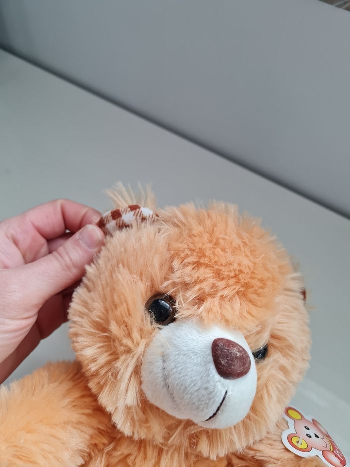 Petit ours neuf - photo numéro 4