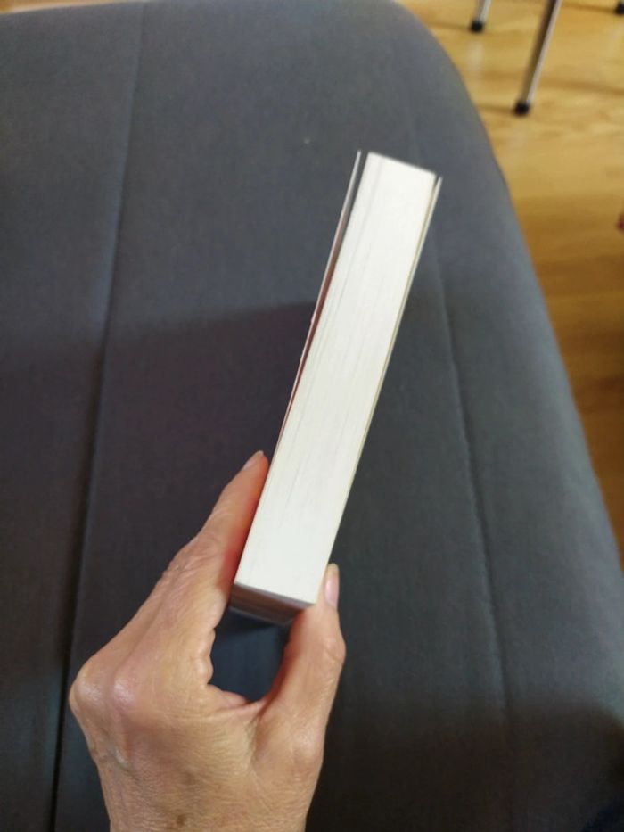 Un miracle en équilibre de Lucia Etxebarria - photo numéro 5