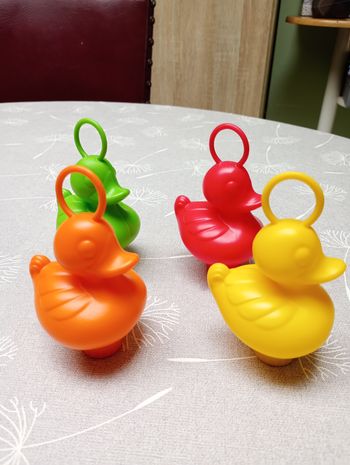 Canards bain