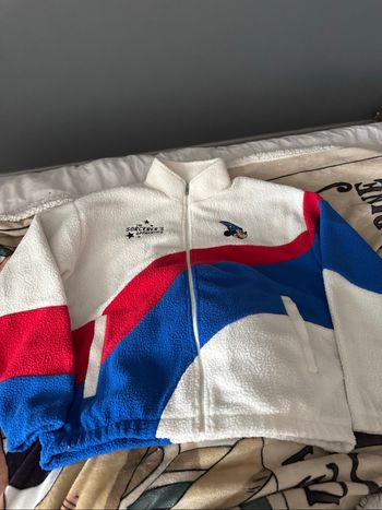 Veste polaire Mickey fantasia Disneyland Paris