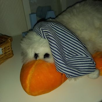 Peluche Oie et son bonnet de nuit neuve