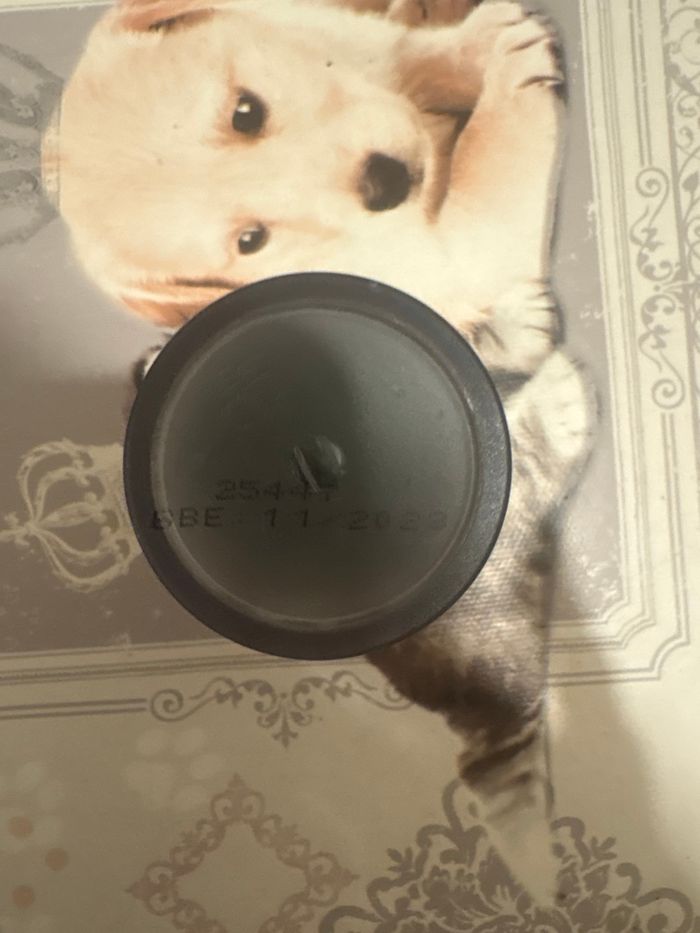 TFXX - photo numéro 2