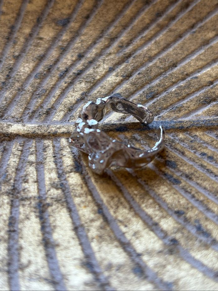 Bague - photo numéro 3
