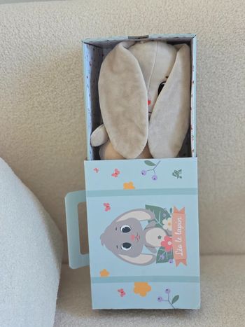 Coffret Peluche lapin