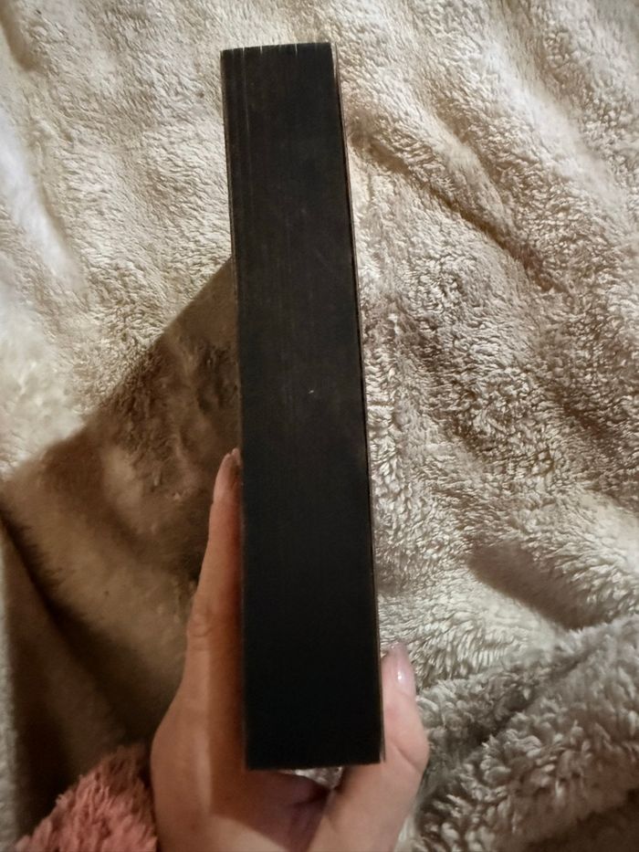 Livre DARK ROMANCE : Borderline Tome 1 - photo numéro 3