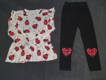 Ensemble coccinelle