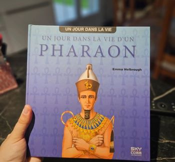 Un jour dans la vie d'un Pharaon 📚