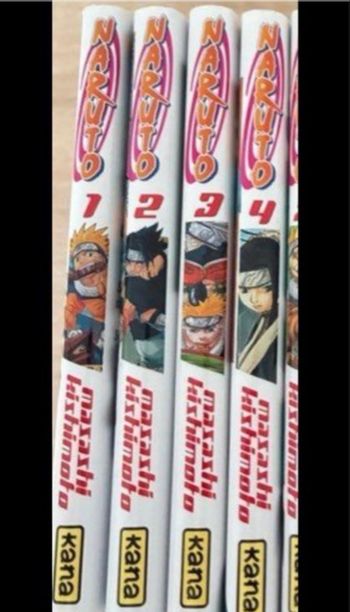 Livre Naruto