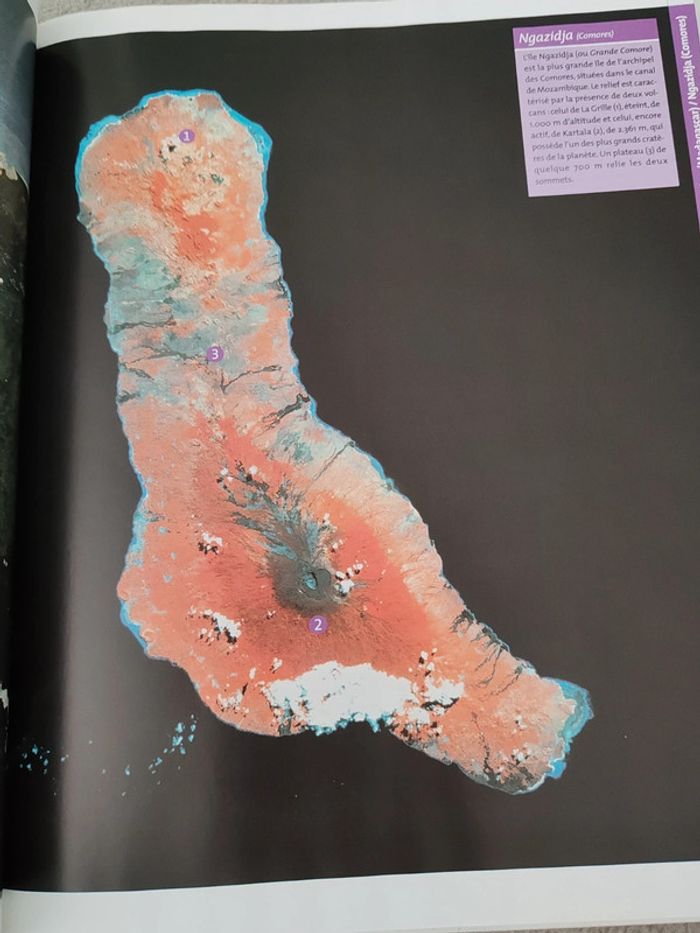 Afrique 🟣 La dépêche du midi n°4 - photo numéro 5