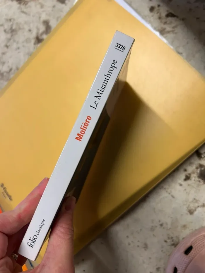 Molière le Misanthrope - photo numéro 6