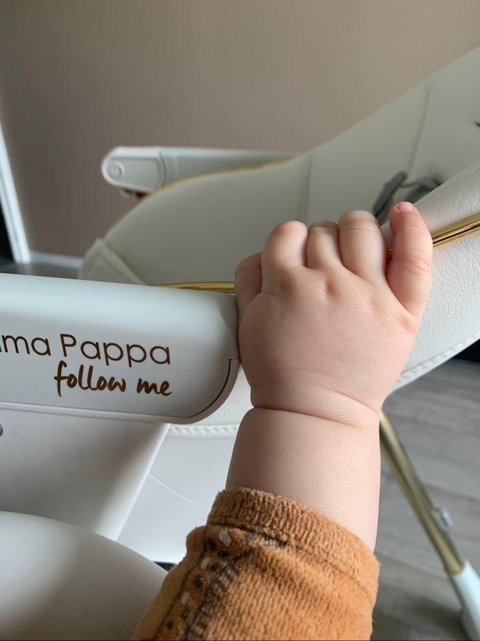 Chaise haute Peg Perego Prima Pappa follow me - photo numéro 4