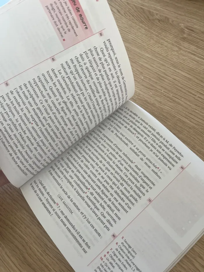 La Vénus d’Ille - photo numéro 2