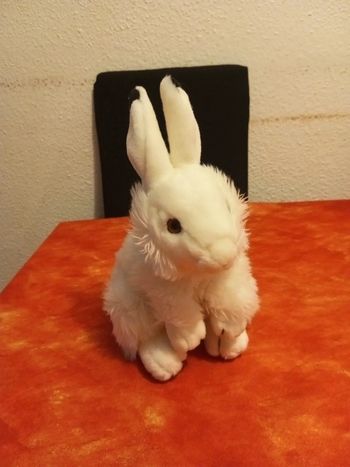 Lapin blanc assis, bout des oreilles noires, 30 cm
