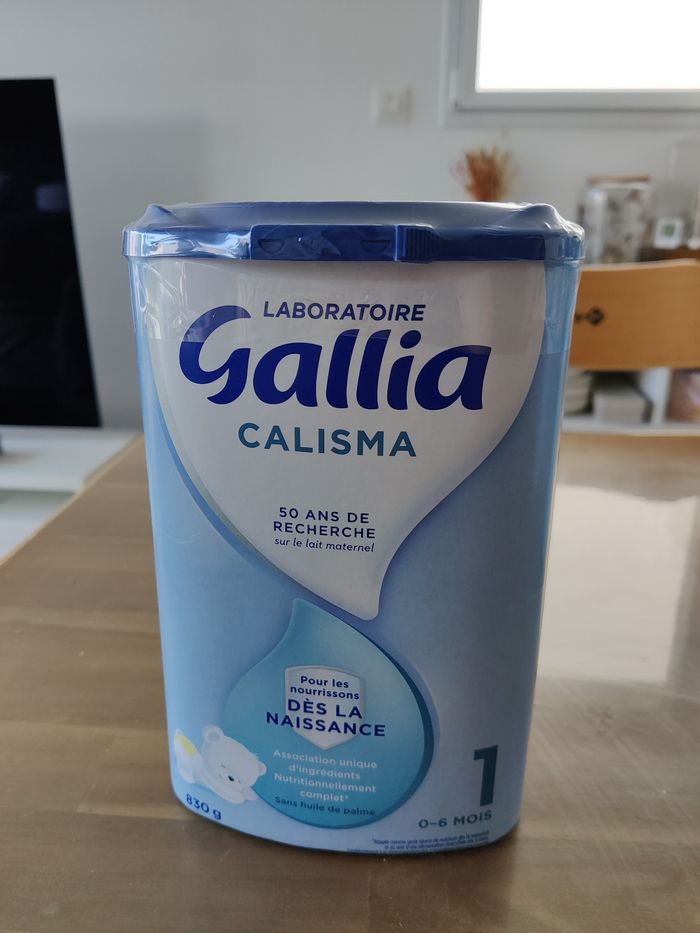Gallia calisma 1
