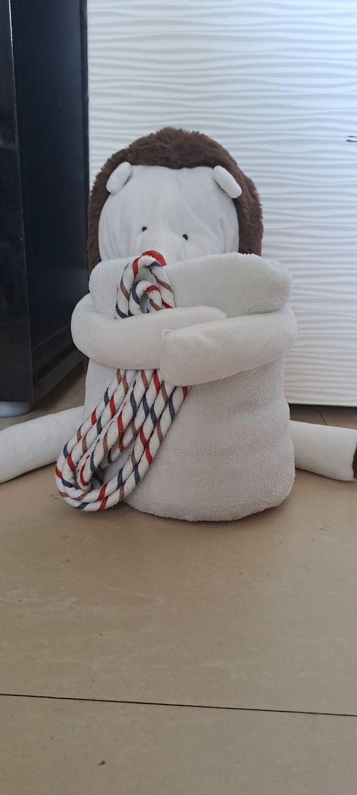 Hérisson et son plaid