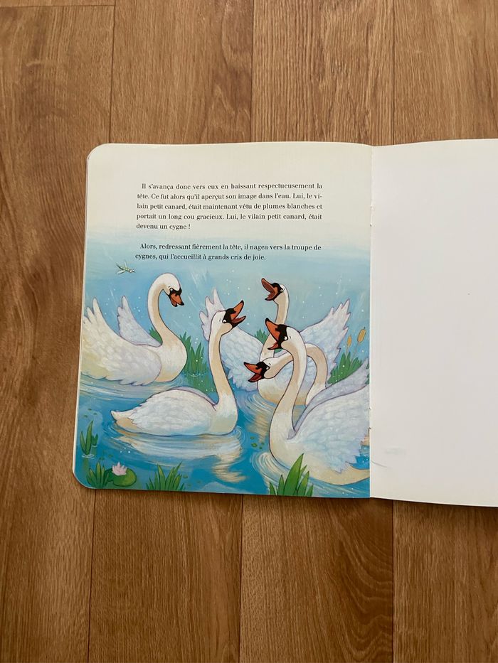 Livre le vilain petit canard - photo numéro 8