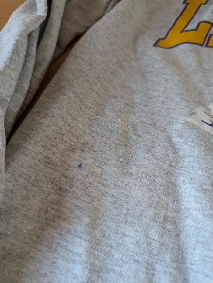 🏀 Sweat NBA Los Angeles Lakers - 12 ans - photo numéro 3