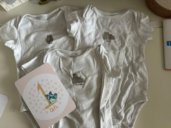 Lot bodies manches courtes