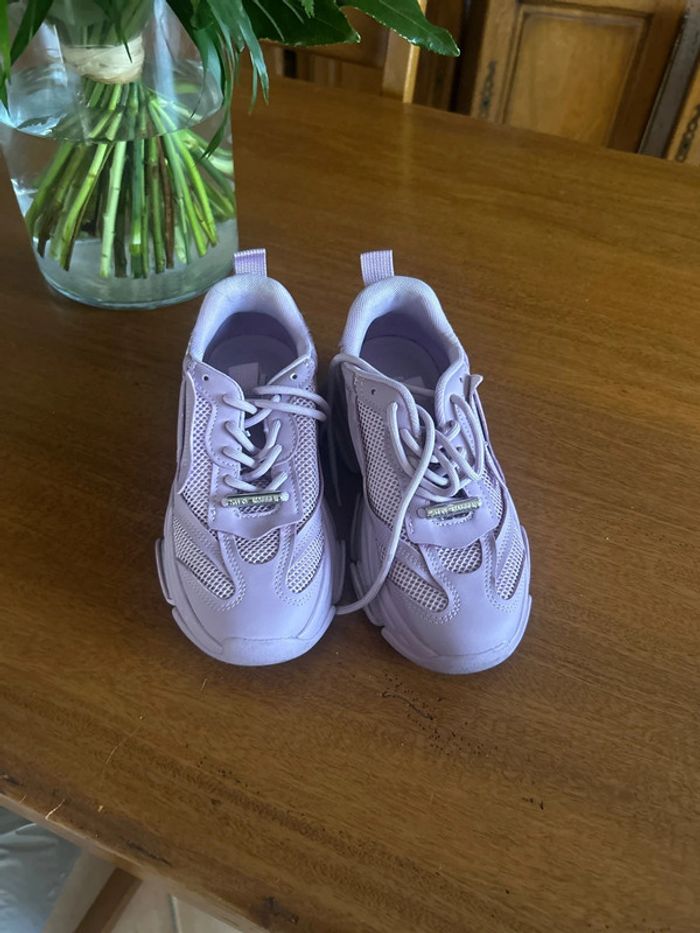 Baskets parme Steve Madden
