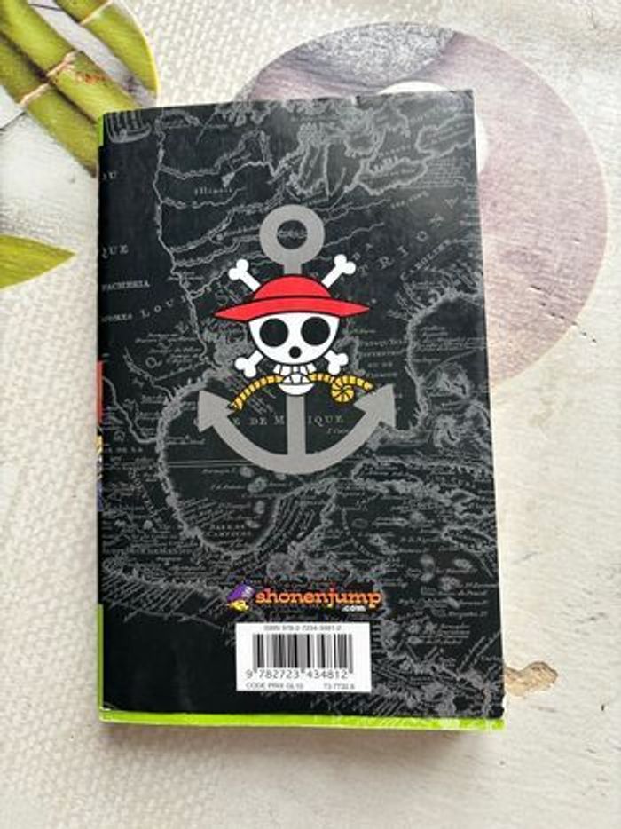 Livre Once Piece - photo numéro 5