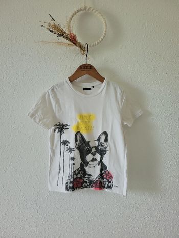 Tee-shirt garçon 👦 IKKS bouledogue