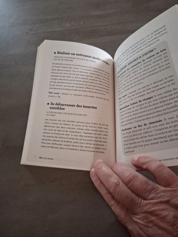 Du sel du citron du vinaigre du bicarbonate de soude - photo numéro 3