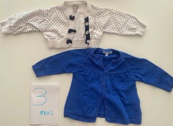Lots 2 gilets et 1 pull