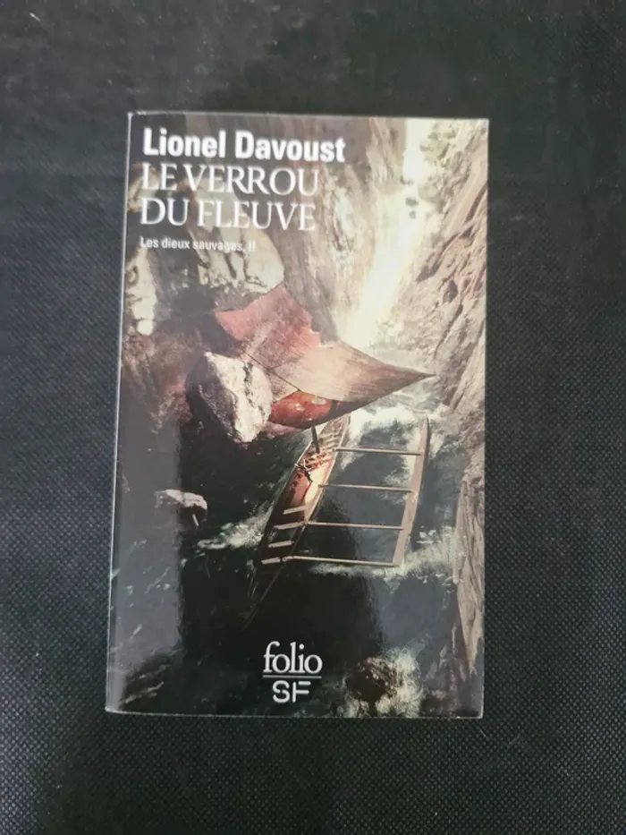 Les Dieux Sauvages - Tome 2 - Le Verrou Du Fleuve - Lionel Davoust - photo numéro 2