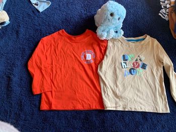 Lot 2 t-shirt neuf garçon