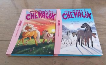 Lot de 2 livres mes amis les chevaux neuf