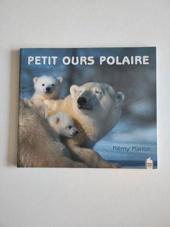 Livre Petit Ours Polaire