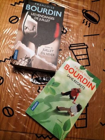 📚Lot de 2 livres de Françoise Bourdin 📚