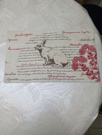 Housse coussin lapin