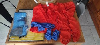 Costume dragonball z