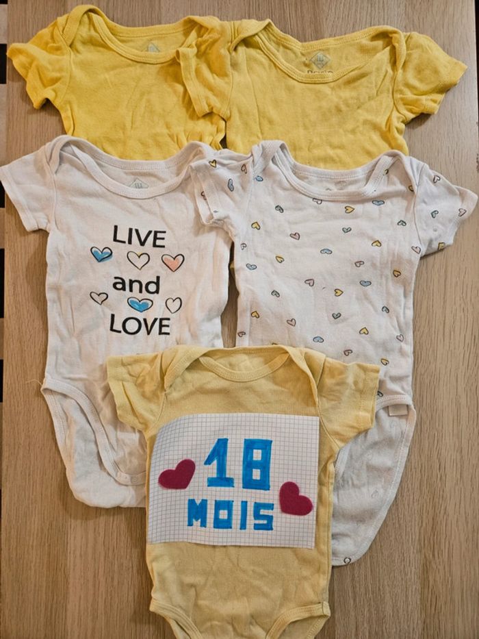 Lot 5 bodies Tex 18 mois