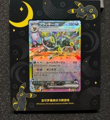 Présentoirs Noctali, cadre noctali + carte Pokémon 