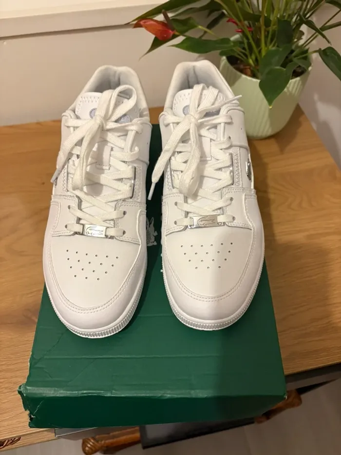 Basket Lacoste - photo numéro 4