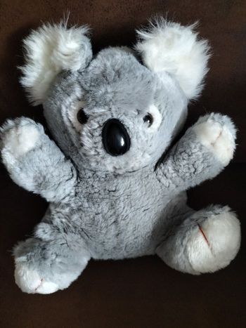 Peluche koala